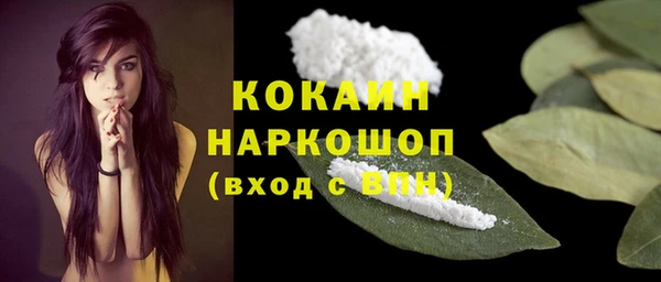 соль курить ск Белокуриха