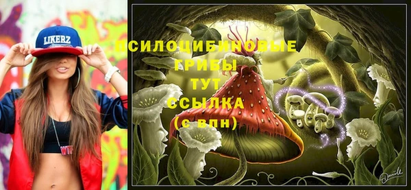 соль курить ск Белокуриха