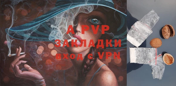 ECSTASY Беломорск