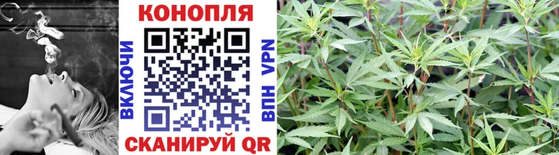 blacksprut маркетплейс  Мглин  Бошки Шишки марихуана  как найти закладки 